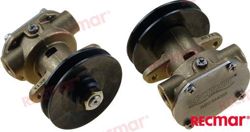 WATER PUMP WITH PULLEY REC344085