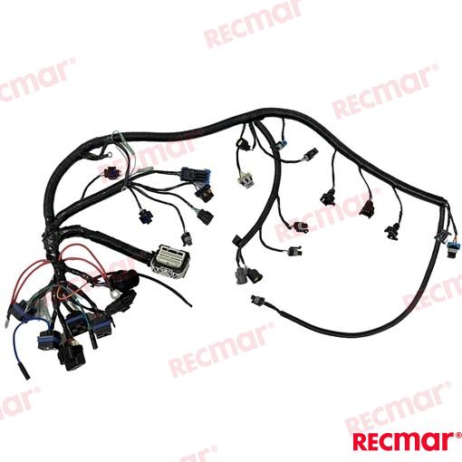 ENGINES_MAIN_HARNESS_70/90/115HP
