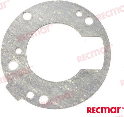 PUMP GASKET REC689 44315 A0