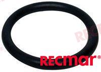 O RING REC25 30613