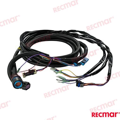 EXTENSION__20FT