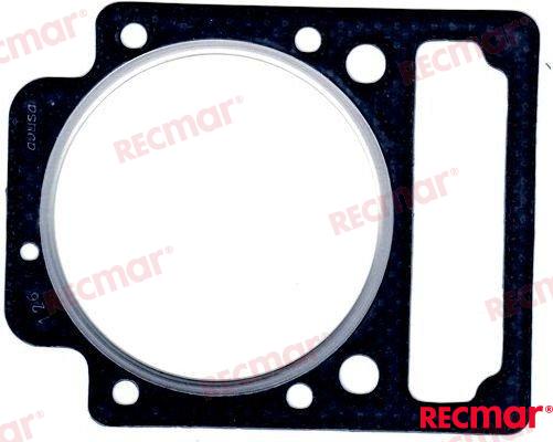 CYLINDER HEAD GASKET REC859137