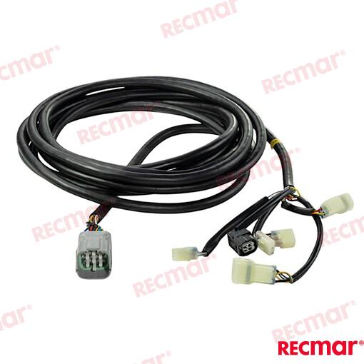 MAIN_WIRING_HARNESS_(20FT)