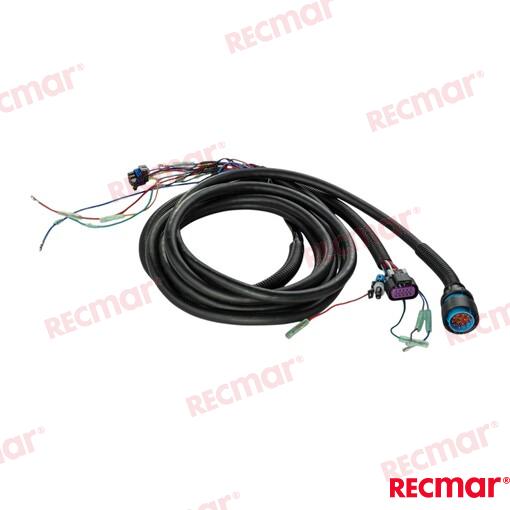 TIRM_HARNESS_15FT_(MOLEX)
