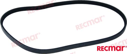 SERPENTINE BELT REC57 898101579