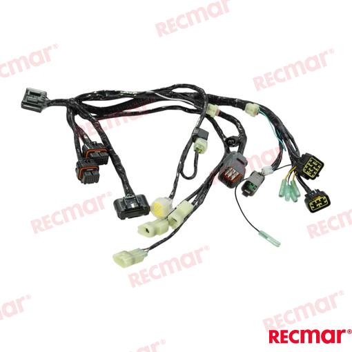 HARNESS_ASSY_BCM_NO.1_SNGL