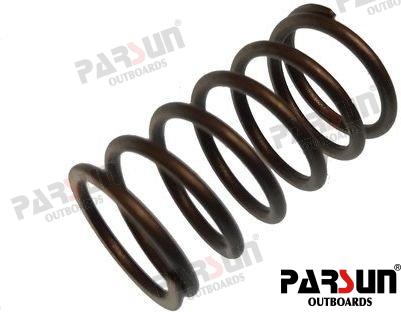 SPRING, VALVE STEM