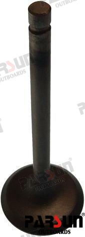 INTAKE VALVE