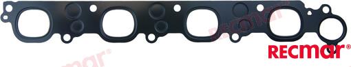 EXHAUST GASKET REC27 8M6000365