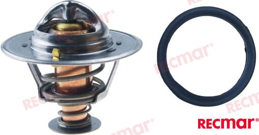 THERMOSTAT KIT REC875785