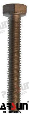 M6X40 SCREW