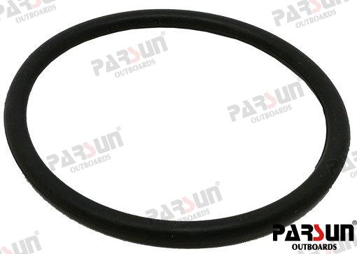 O RING