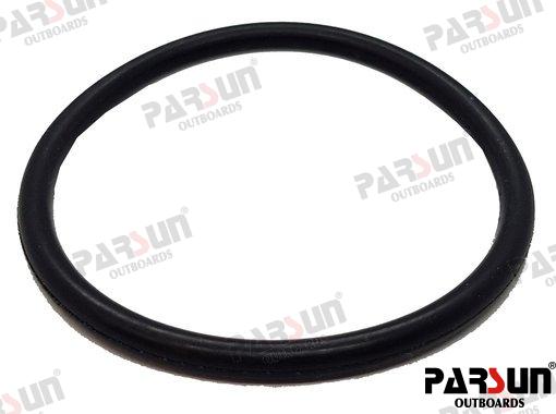 O RING 24 031