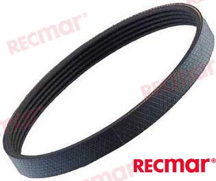BELT REC25112 003601