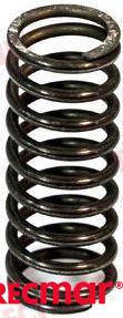 VALVE SPRING REC466384