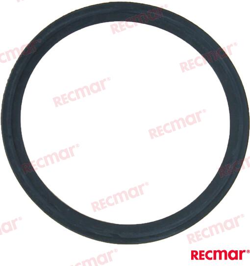 THERMOSTAT GASKET REC119578 49110
