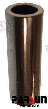 PIN, PISTON