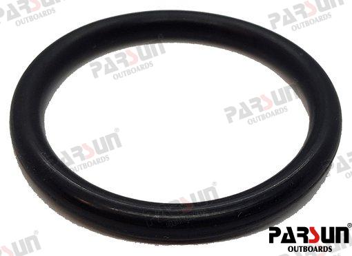 O RING 24.7X3.1