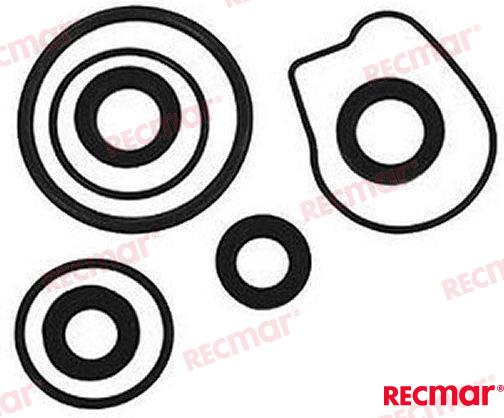 LOWER UNIT SEAL KIT REC18 8362 1