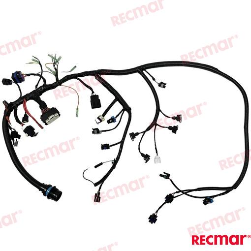 ENGINES_MAIN_HARNESS_40/50/60HP