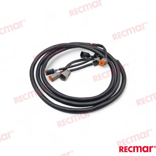EXTENSION_ARNES_10FT_(3M)