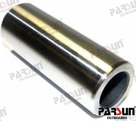 PIN, PISTON