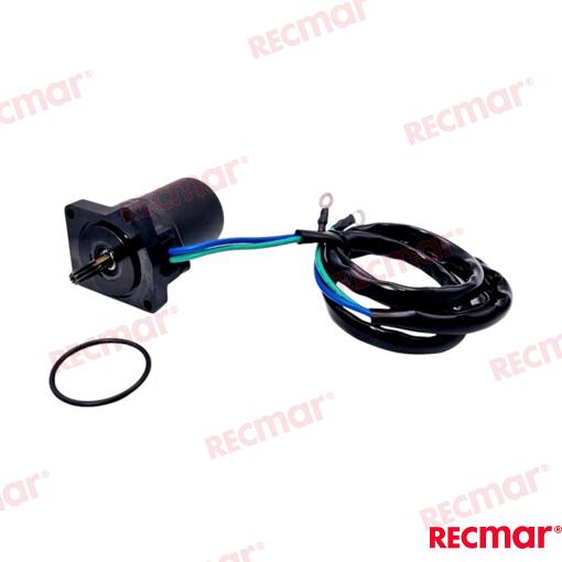 TRIM MOTOR PAT40 10020500