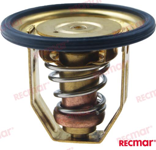 THERMOSTAT KIT REC875791