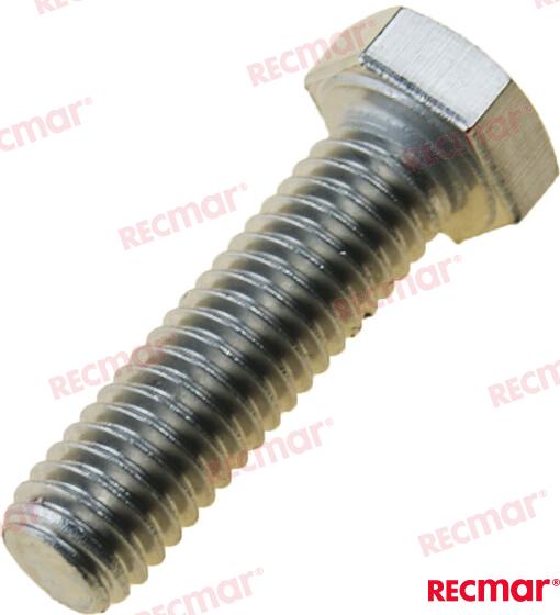 SCREW REC305282