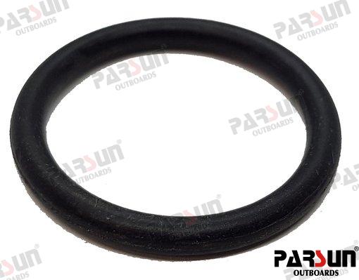 O RING