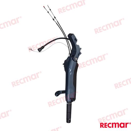 MULTI-FUNCTION_TILLER_HANDLE