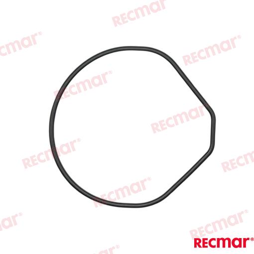 O RING, WATER PUMP REC91356 ZW1 B00