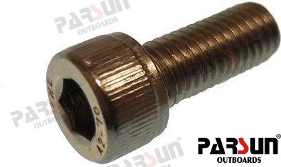 SCREW M8X20
