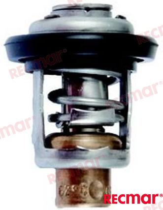 THERMOSTAT REC19300 881 761