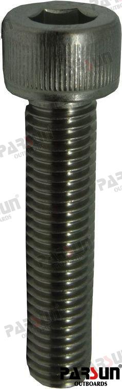 SCREW M10X1.5X45