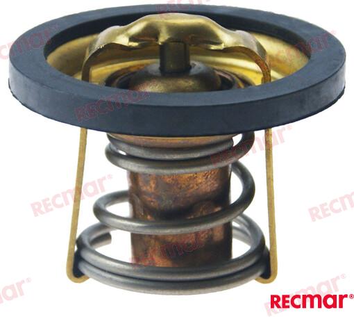 THERMOSTAT KIT REC875783