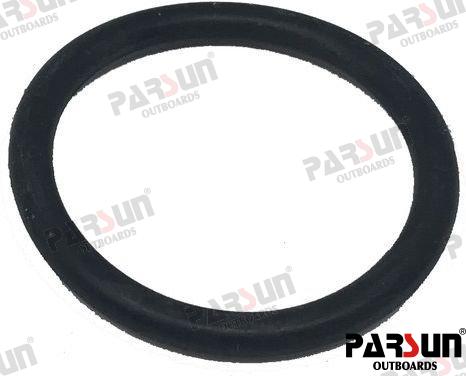 O RING 25X3.0
