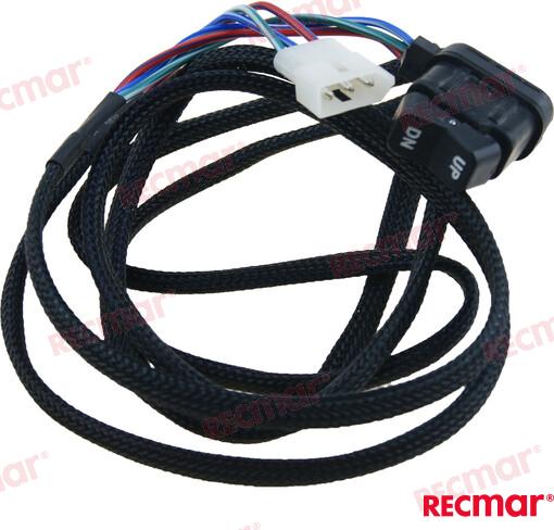 POWER TRIM SWITCH ASSY REC87 858679T2