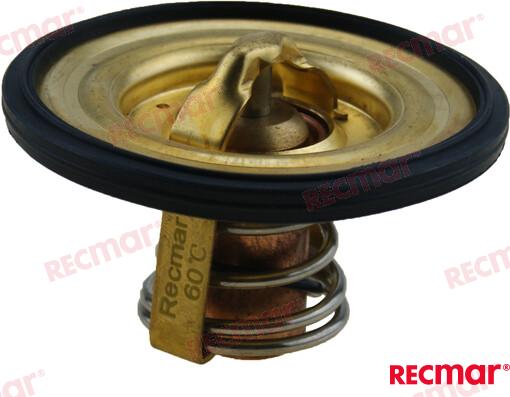 THERMOSTAT KIT REC875796