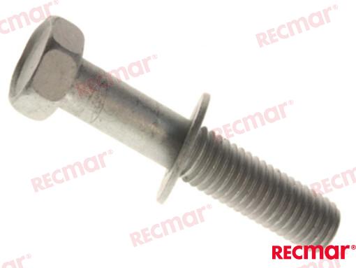 SCREW REC09116 08131