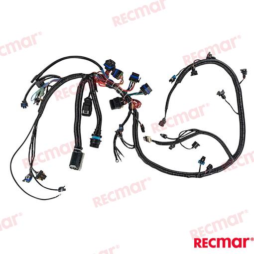 ENGINES_MAIN_HARNESS_150HP