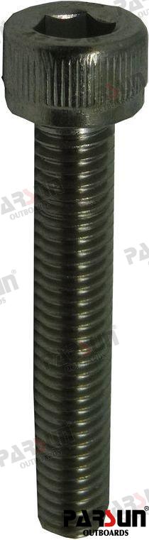 INNER HEXAGON BOLT M6X35