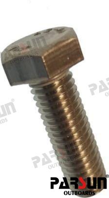 BOLT M8X25