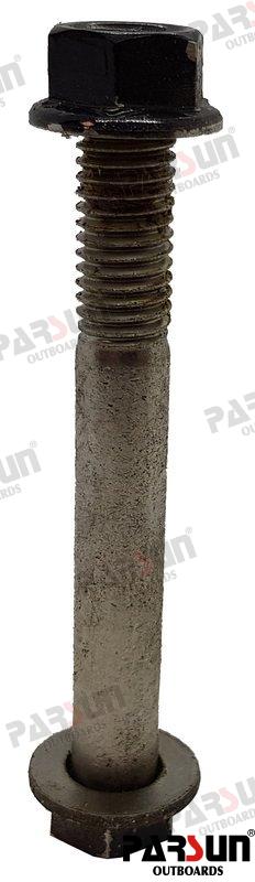 BOLT M10X80