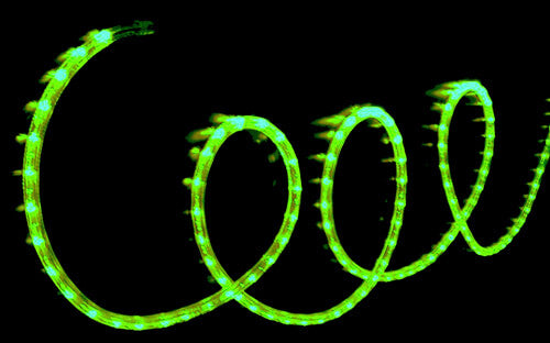 *WHILE SUPPLIES LAST* LED ROPE LIGHTING, 24V,